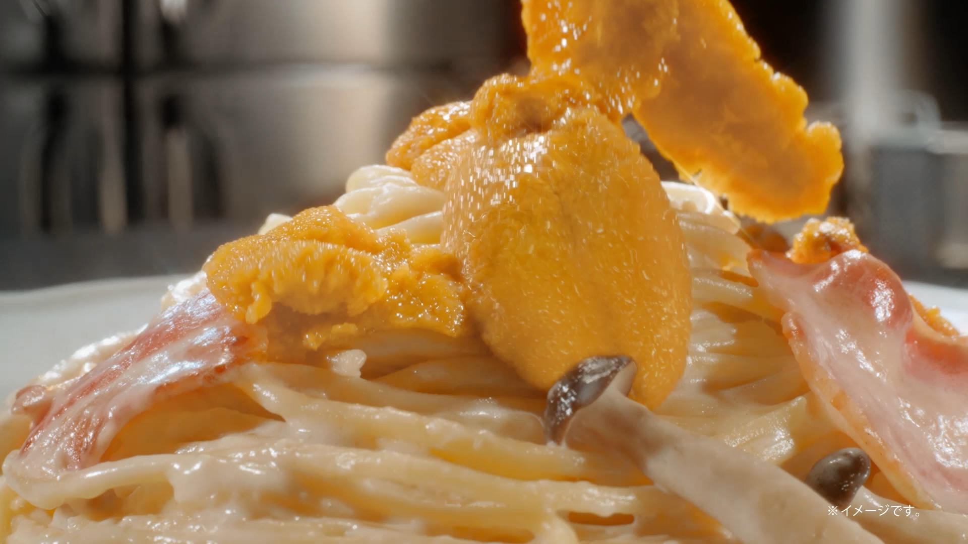 Jolly-Pasta Jolly-Pasta